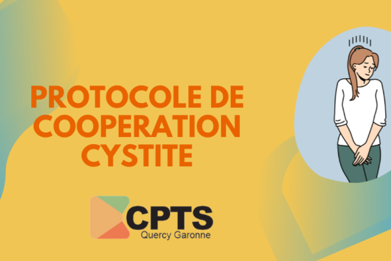 Comment fonctionne le protocole de coopération cystite ?